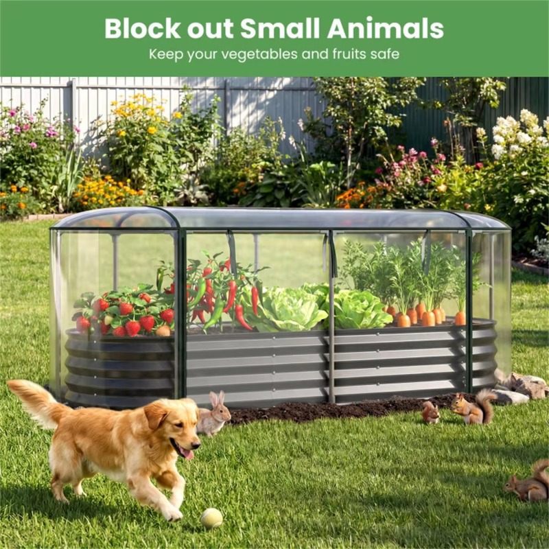 3 year-round elevated garden p - đánh giá và giá Glass Bed